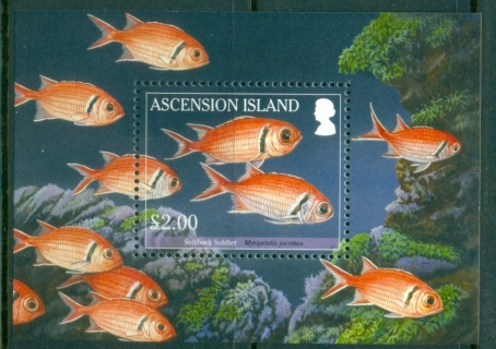 Ascension-2010-Marine-Life-Fish-MS-MUH