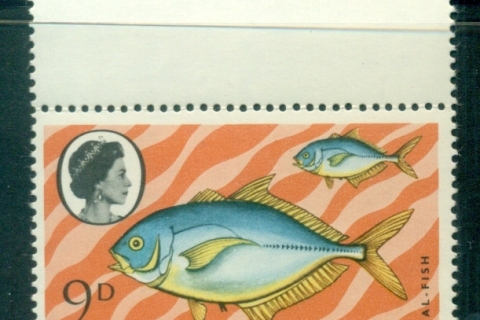 Ascension-Is-1968-70-Marine-Life_1