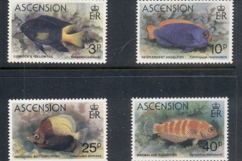 Ascension-Is-1980-Marine-Life-Fish-MUH