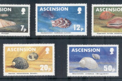 Ascension-Is-1983-Seashells-MUH