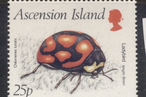 Ascension-Is-1987-Insects_1