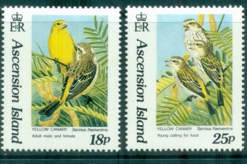 Ascension-Is-1993-Birds
