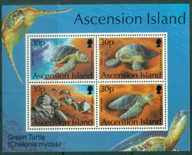 Ascension-Is-1994-Green-Turtles-MS-MUH
