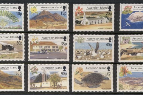 Ascension-Is-2002-Flowers-Local-Scenes-MUH