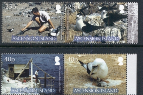 Ascension-Is-2003-Birds