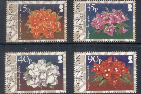 Ascension-Is-2004-Flowers