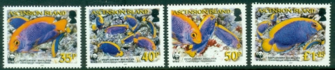 Ascension-Is-2007-WWF-Angel-Fish-MUH