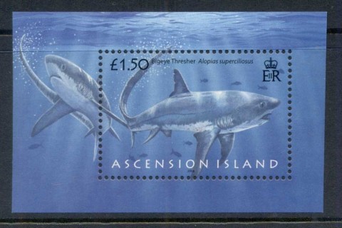 Ascension-Is-2008-Marine-Life