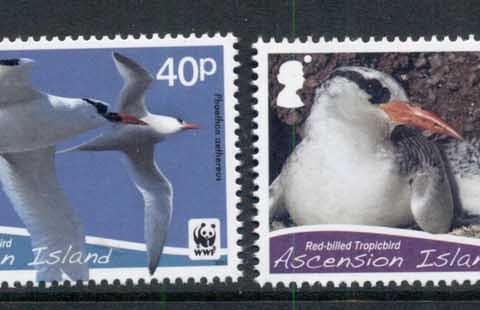 Ascension-Is-2011-WWF-Red-Billed-Tropicbird-MUH