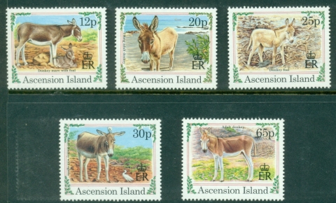 Ascension-Is-Xmas-Donkeys-MUH