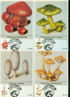 Australia-1981-Funghi-4x-Maxicards-lot80488