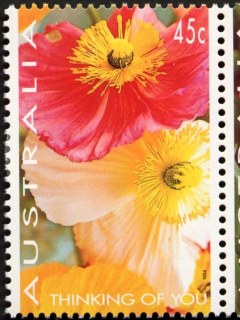 Australia-1994-Greetings-Stamps-Flower-Photographs-by-Lariane-Fonseca-45-cent-Multi-P14-5-x-14-Poppies-SG1447