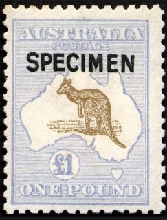 Australia-1921-Kangaroo-Map-1-pound-chocolate-and-dull-blue-II-Third-Single-Crown-over-A-P12-Animal