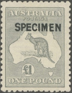 Australia-1921-Kangaroo-Map-1-pound-grey-IIB-Third-Single-Crown-over-A-P12-Animal