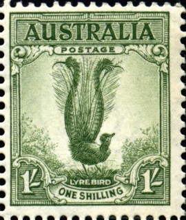 Australia-1937-Superb-Lyrebird-1-shilling-grey-green-C-of-A-P13-5x14-Bird-facing-right