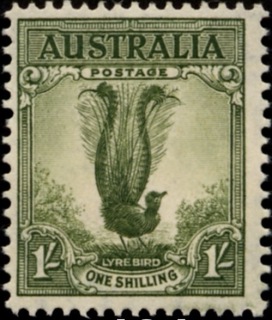 Australia-1941-Superb-lyrebird-1-shilling-grey-green-C-of-A-P15x14-Bird-facing-right