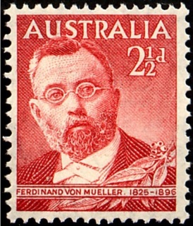 Australia-1948-Sir-Ferdinand-von-Mueller-botanist-2-5-pence-lake-C-of-A-P15x14-Portrait