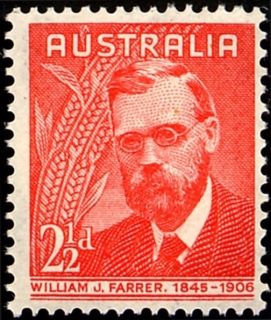 Australia-1948-William-Farrer-wheat-research-2-5-pence-scarlet-C-of-A-P15x14-Portrait