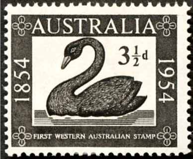 Australia-1954-Western-Australian-Postage-Stamp-Centenary-3-5-pence-black-P14-78-x-14-4-Stamp-on-Stamp