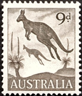 Australia-1959-Eastern-Grey-Kangaroo-9-pence-deep-sepia-P15x14-Animal