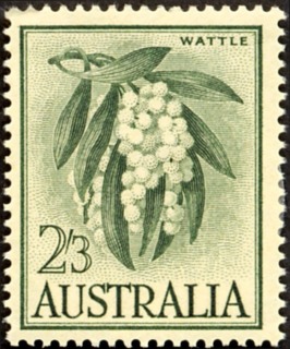 Australia-1959-Wattle-27-pence-green-P14-50-Flower