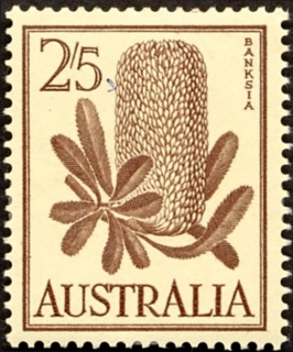 Australia-1960-Banksia-29-pence-brown-P14-50-Flower