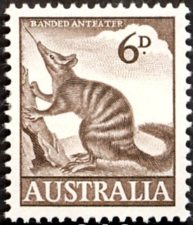 Australia-1960-Numbat-6-pence-brown-P15x14-Animal-Marsupial