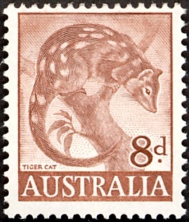 Australia-1960-Tiger-Cat-8-pence-red-brown-P15x14-Animal