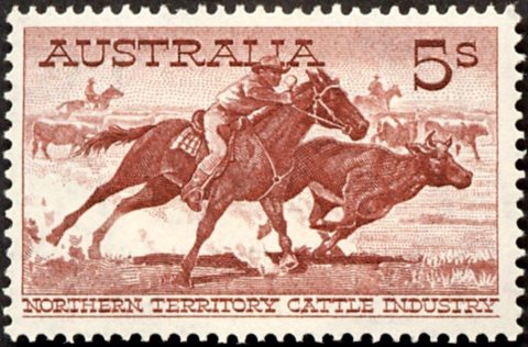 Australia-1961-Cattle