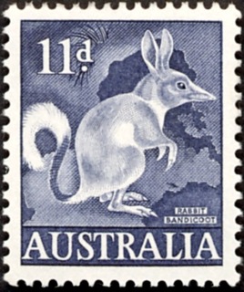 Australia-1961-Common-Rabbit-Bandicoot-11-pence-deep-blue-P15x14-Animal