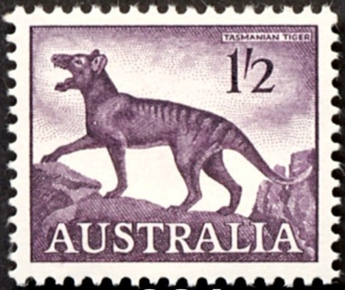 Australia-1962-Thylacine-14-pence-deep-purple-P14x15-Animal