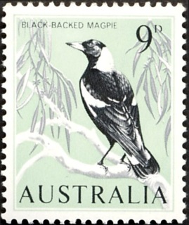 Australia-1964-Black-backed-Magpie-9-pence-black