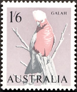 Australia-1964-Galah-1-5-shilling-pink