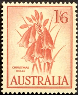 Australia-1964-Wattle-27-pence-yellow-green-P14-50-Flower