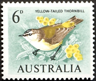 Australia-1964-Yellow-tailed-Thornbill-6-pence-brown