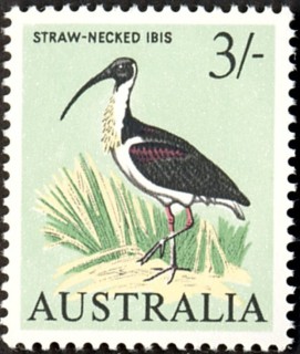 Australia-1965-Straw-necked-Ibis-3-shilling-black