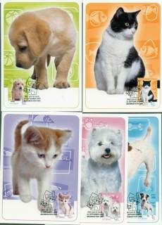 Australia-2004-Cats-Dogs-Maxi-cards-Lot28079