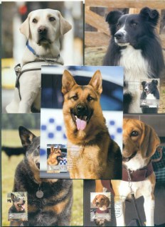 Australia-2008-Working-Dogs-Maximum-Cards-5-lot76044