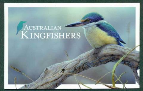 Australia-2010-Kingfishers-POP-Lot27902