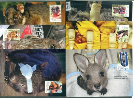 Australia-2010-Wildlife-Caring_1