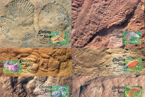 Australia-2005-Creatures-of-the-Slime-6xMaxicards