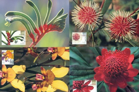 Australia-2006-Australian-Wildflowers-4xMaxicards