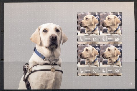 Australia-2008-Working-Dogs-2