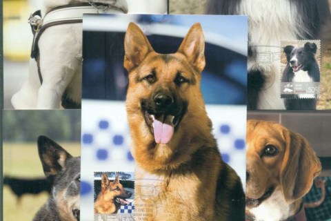 Australia-2008-Working-Dogs-Maximum-Cards-5-lot76044