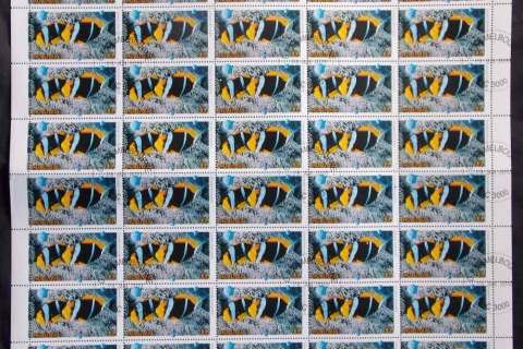 Australia-2010-3-Fishes-Anemonefishes-CTO-Sheet-FV-150-lot48916