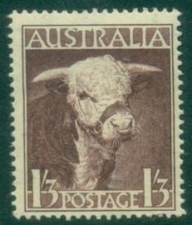 Australia-1948-Hereford-Bull-MLH