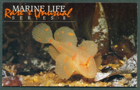 Australia-1985-Marine-Life-II-POP-Lot27868