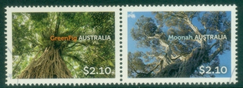 Australia-2015-Australian-Trees-2.jpg.10-pair-FU