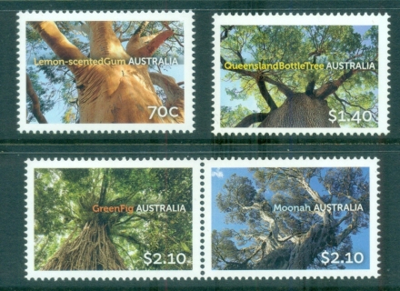 Australia-2015-Australian-Trees-MUH