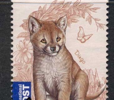 Australia-2011-Baby-Animals